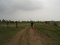 IMGP1377