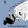 Schwenkspiegel f�r Projektor